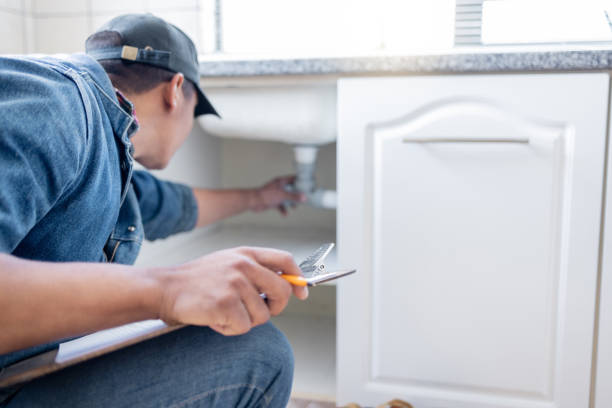 Best Clogged Drain Plumber  in Lemmon Valley, NV