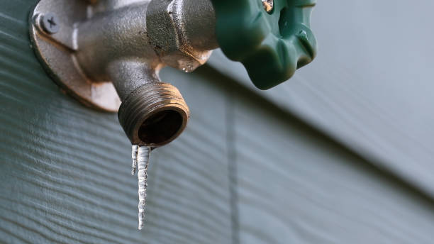 Best Affordable Plumbing Services  in Lemmon Valley, NV