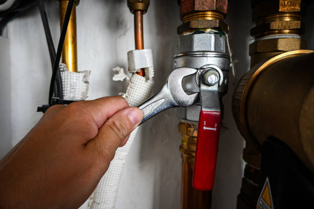  Lemmon Valley, NV Plumbing Pros